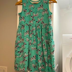 Cozy soft Zebra Dress (with pockets!)